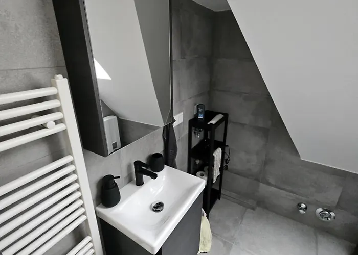 Emmi 盖尔森基兴