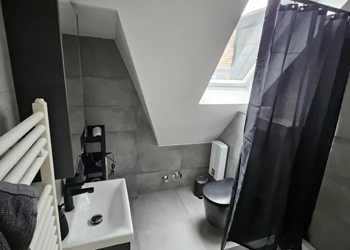 Emmi * 盖尔森基兴